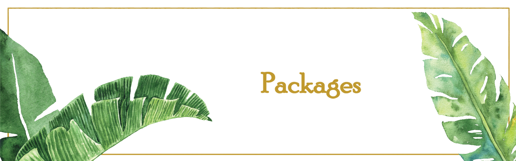 Package_3